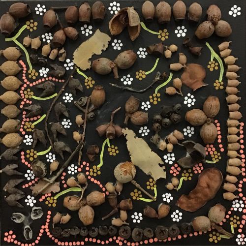 Picking seeds from the Kimberley ground